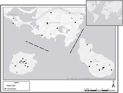 Field Evaluation of DNA Based Biodiversity Monitoring of Caribbean Mosquitoes